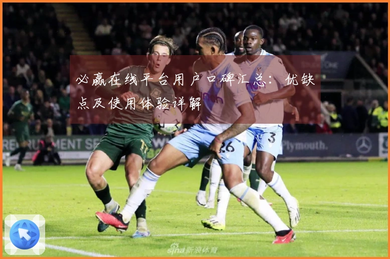 必赢在线平台用户口碑汇总：优缺点及使用体验详解