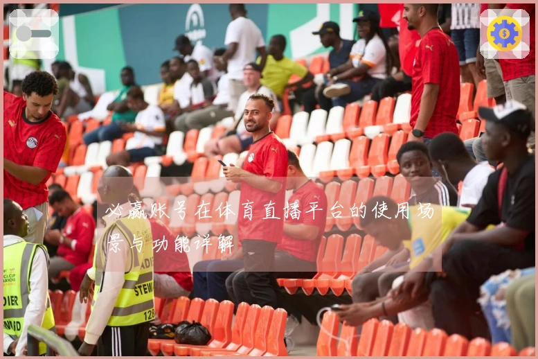 必赢账号在体育直播平台的使用场景与功能详解