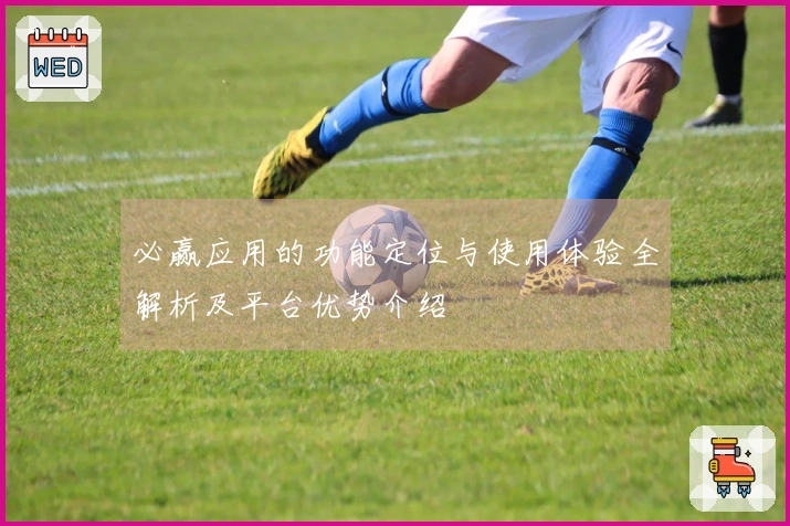 必赢应用的功能定位与使用体验全解析及平台优势介绍