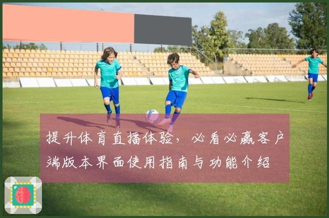 提升体育直播体验,必看必赢客户端版本界面使用指南与功能介绍